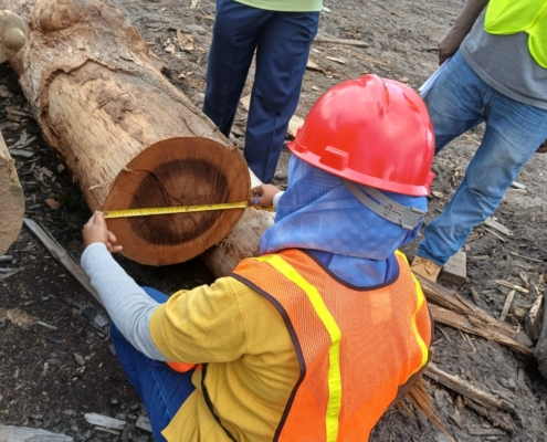 577036851_1172440785071714_5004992736023477465_n