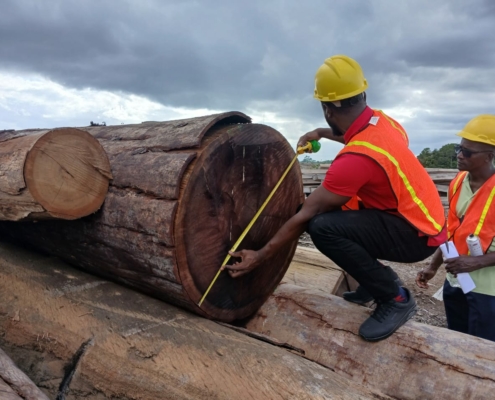 581133278_1172441055071687_1084066245246406768_n