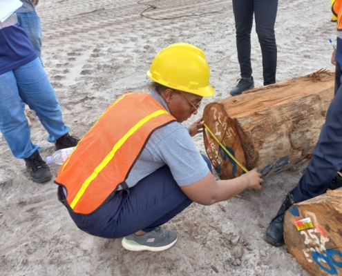 583288121_1172441071738352_8039590637024418841_n