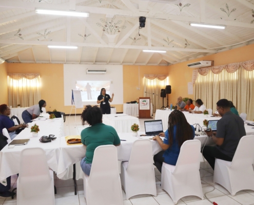 628120028_1239744798341312_6009333492623007815_n